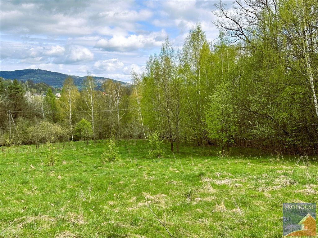 Działka inna na sprzedaż Lipowe  20 300m2 Foto 12