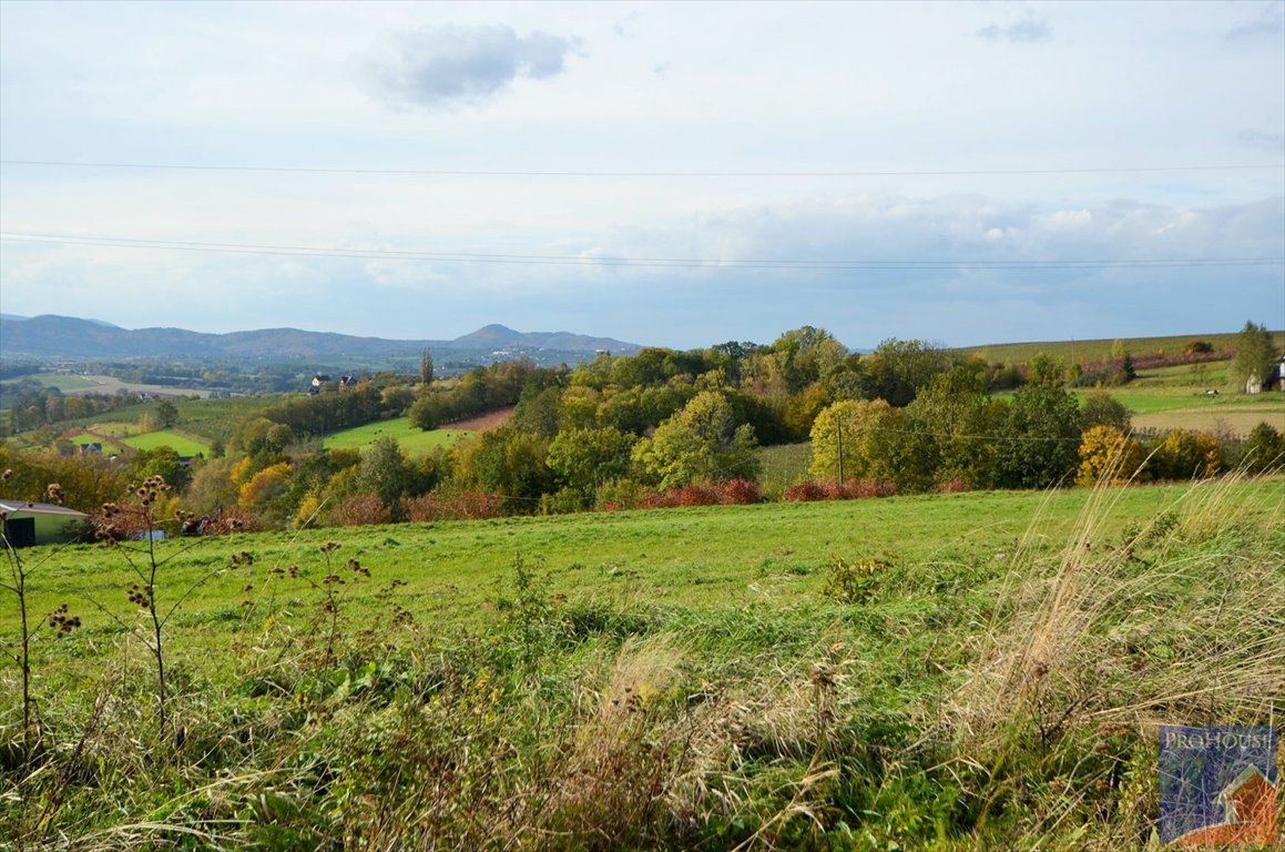 Działka budowlana na sprzedaż Kostrza  5 900m2 Foto 1