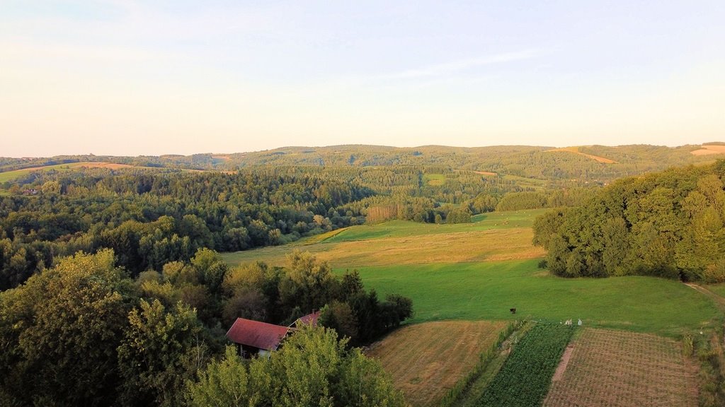 Działka 34 ha z dostępem do drogi i linii 15kV Strzyżów  336 800m2 Foto 1