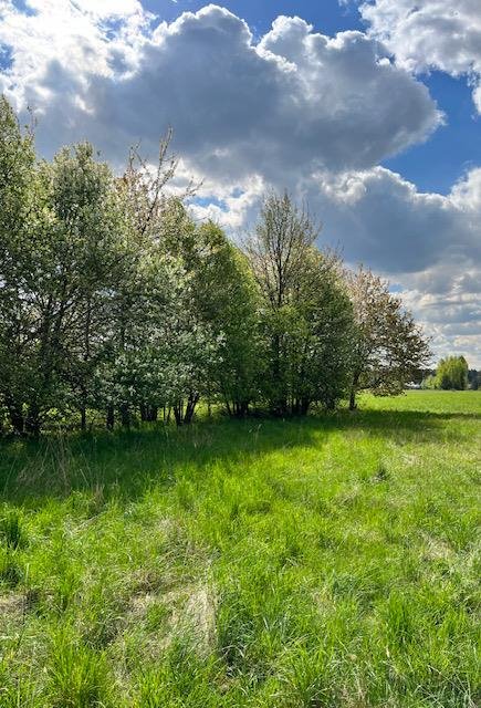 Działka budowlana na sprzedaż Wołomin, Kochanowskiego  1 300m2 Foto 3