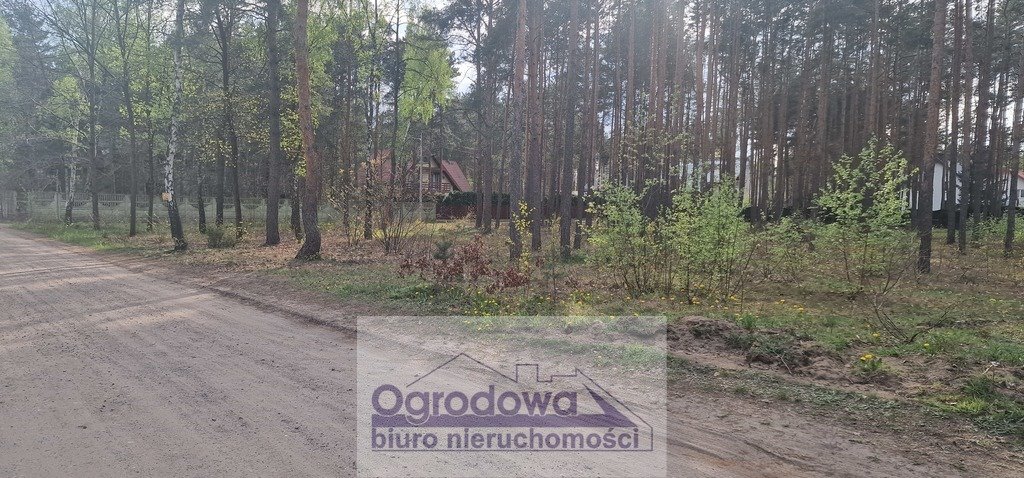 Działka budowlana na sprzedaż Zagościniec  4 059m2 Foto 3