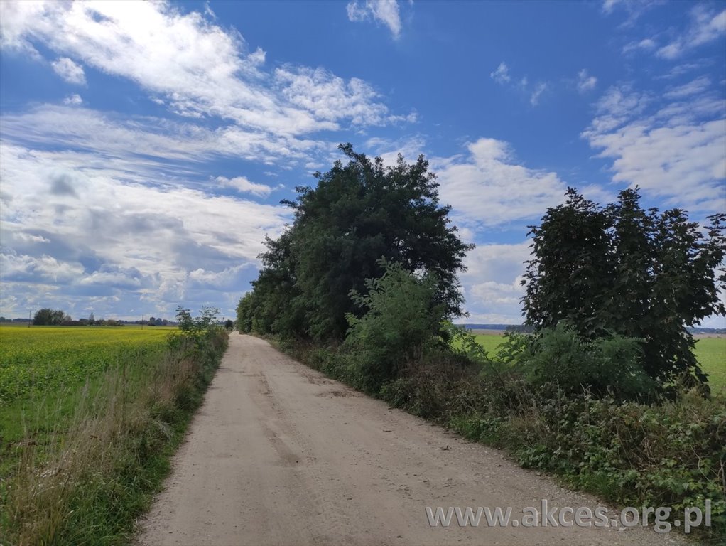 Do sprzedania działka 1290 m² pod dom i usługi w Zatorach Zatory  1 290m2 Foto 1