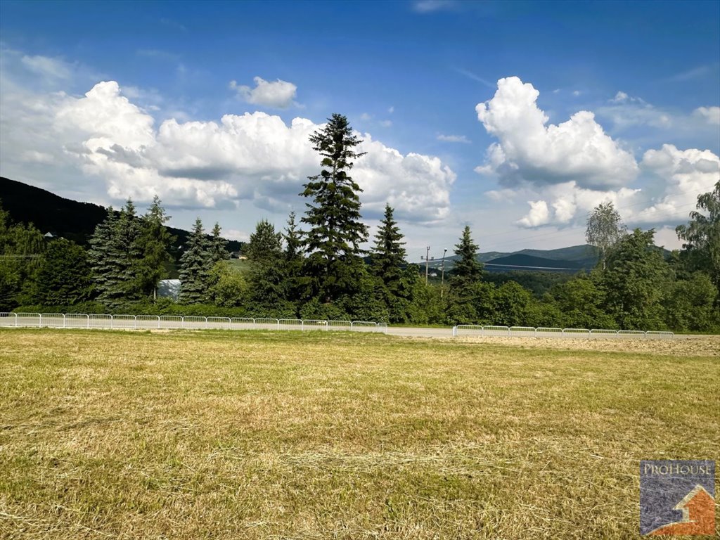 Działka budowlana na sprzedaż Pasierbiec  3 000m2 Foto 8