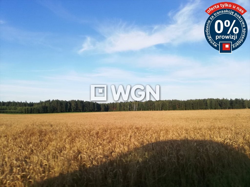 Działka rolna na sprzedaż Grabnik  28 300m2 Foto 7