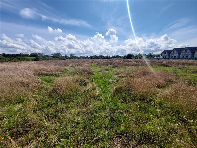 Działka budowlana na sprzedaż Rusinowo, Bazyliszka  1 000m2 Foto 11