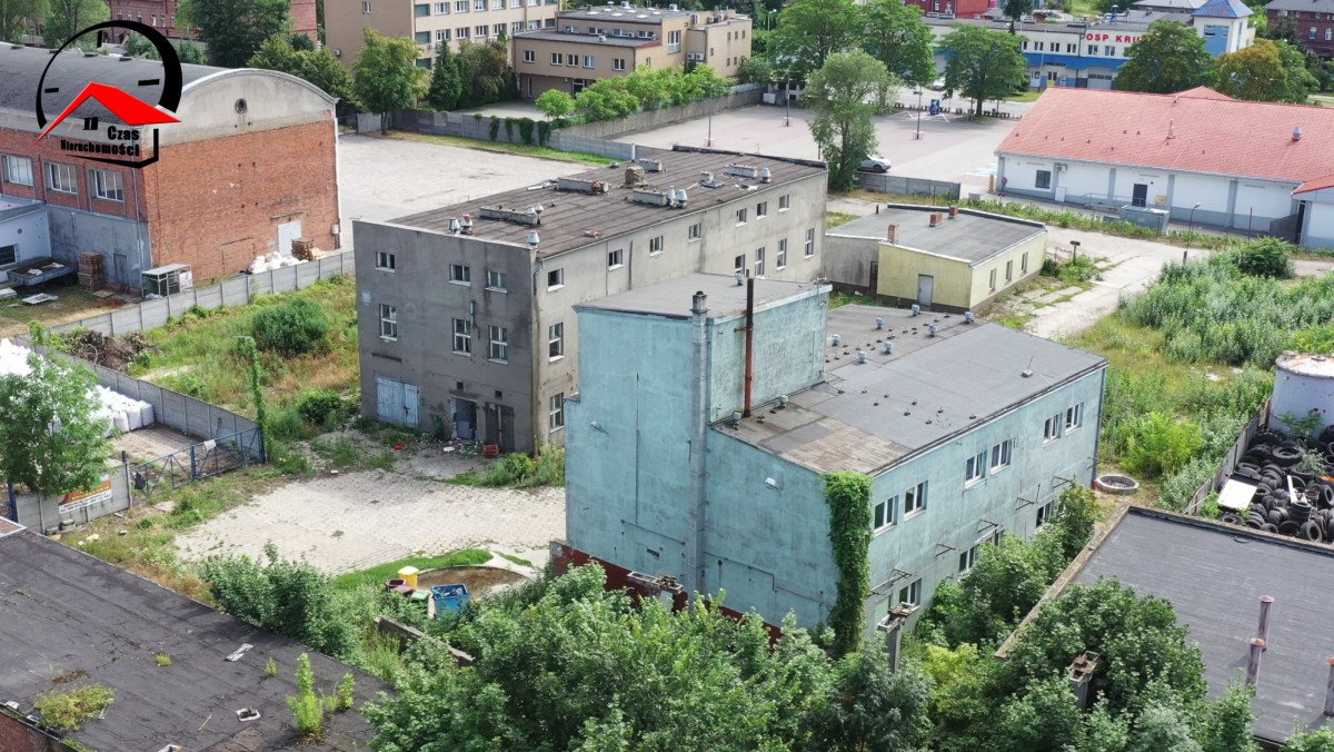 Lokal użytkowy na sprzedaż Kruszwica, Niepodległości  568m2 Foto 3