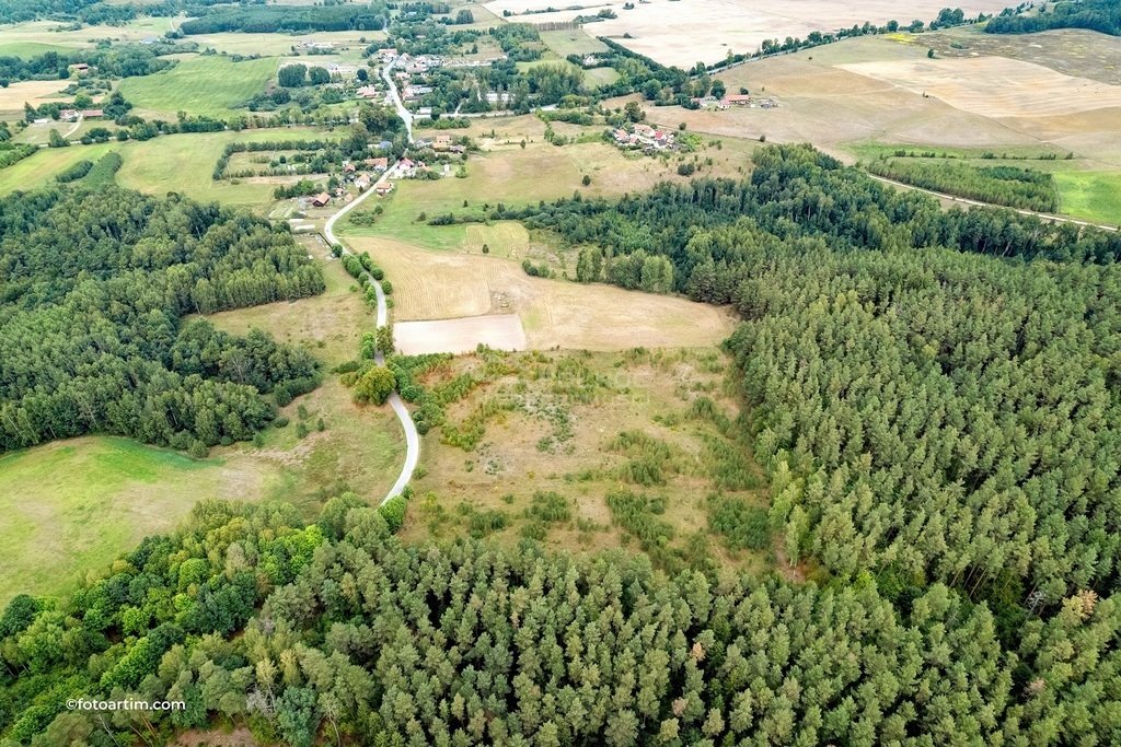 Działka rolna na sprzedaż Elganowo  23 300m2 Foto 2