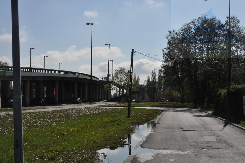 Lokal użytkowy na sprzedaż Warszawa, Włochy, Paluch  335m2 Foto 4