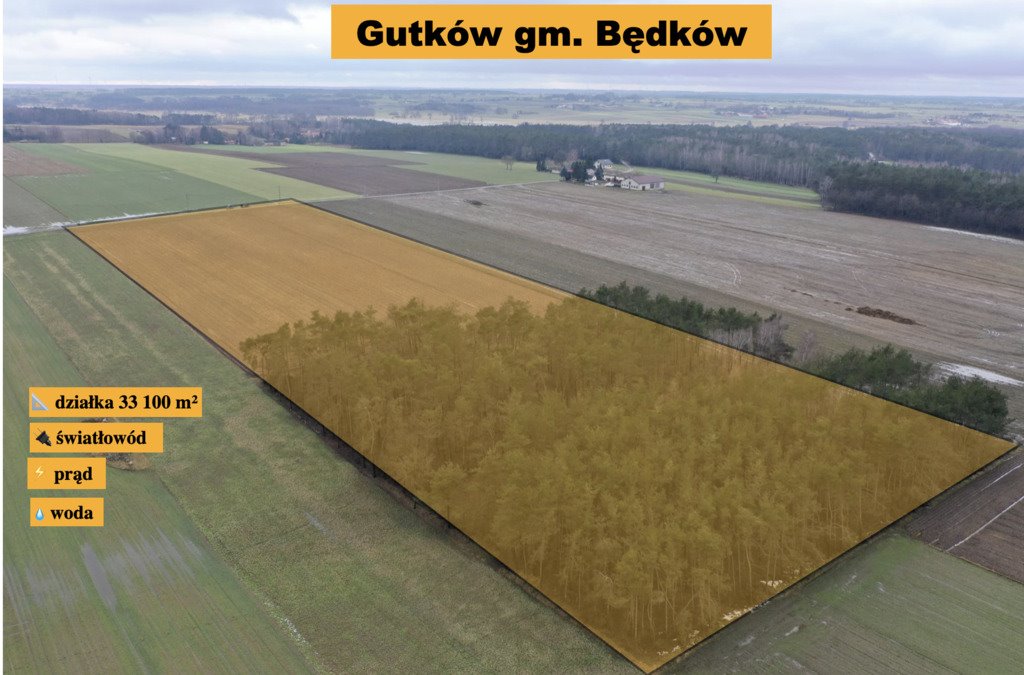 Unikalna działka 33 000 m² z lasem i warunkami zabudowy Gutków  33 100m2 Foto 1