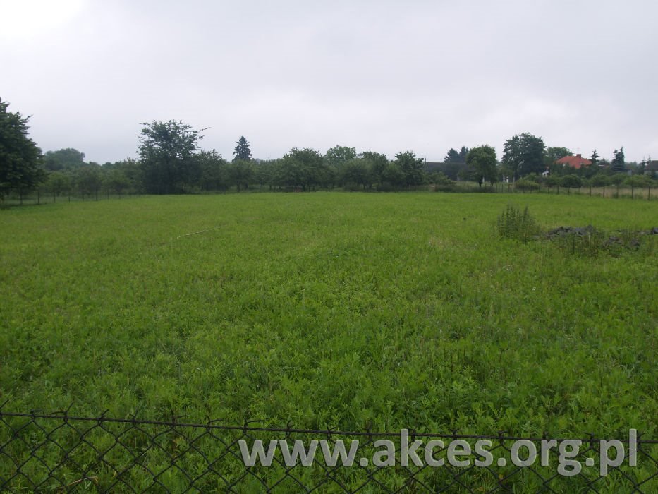 Działka budowlana na sprzedaż Piaski  5 300m2 Foto 1