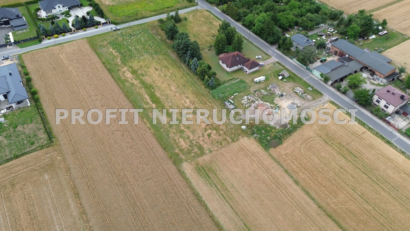 Zdjęcie 3