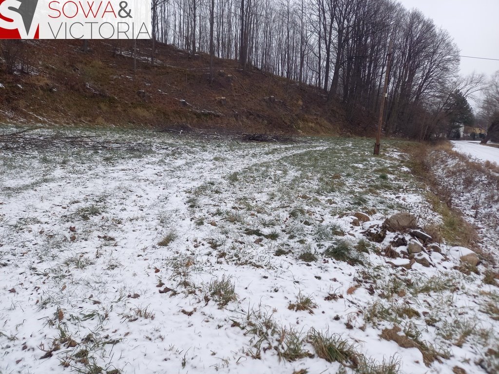 Słoneczna działka budowlana 5500 m2 z lasem w Chwaliszowie Chwaliszów  5 500m2 Foto 1