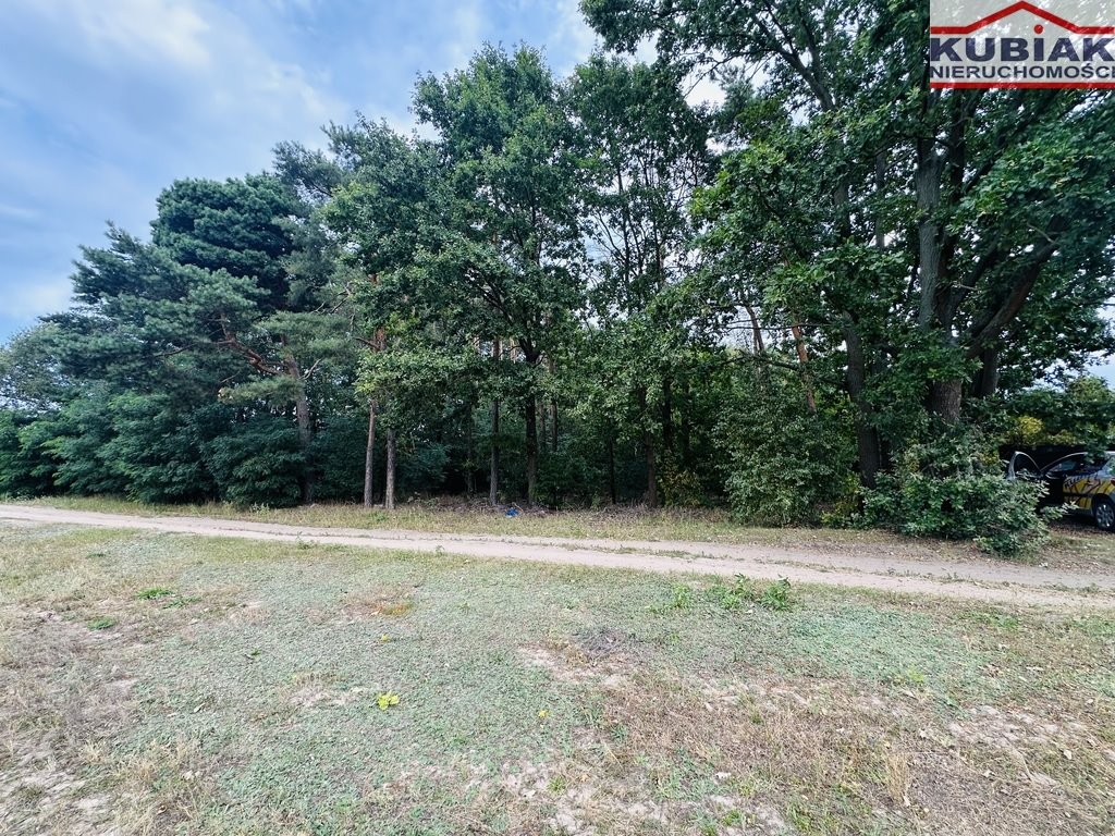 Działka 3600 m² pod zabudowę w Powążkach - inwestycja polecam! Powązki  3 600m2 Foto 1