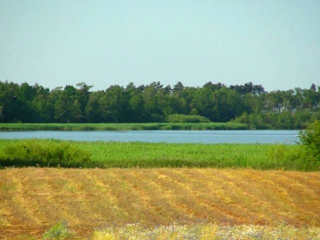 Działka rolna nad morzem z możliwością rozłożenia płatności Gleźnowo, Gleźnowo  300m2 Foto 1