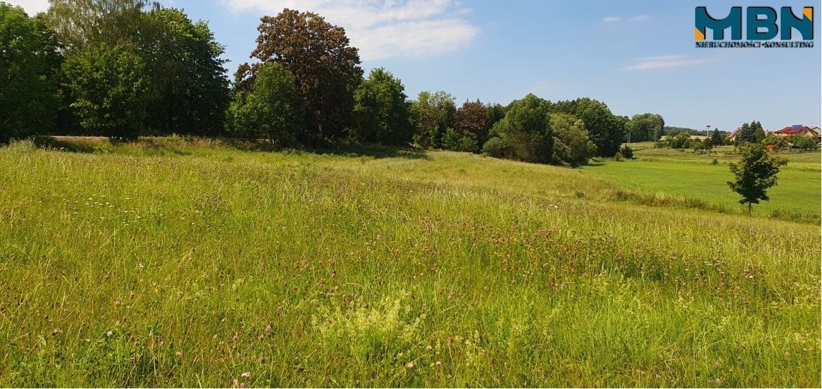 Działka rolna na sprzedaż Stręgielek, Stręgielek  3 054m2 Foto 10