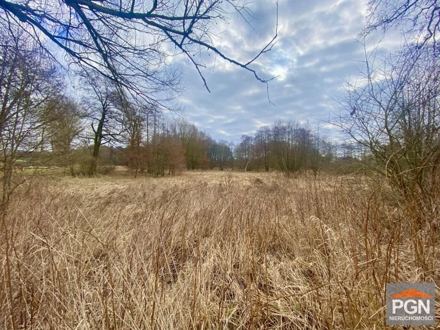 Działka rolna z możliwością zabudowy, 7 400 m², dostęp asfalt GRYFICE OKOLICA  7 400m2 Foto 1