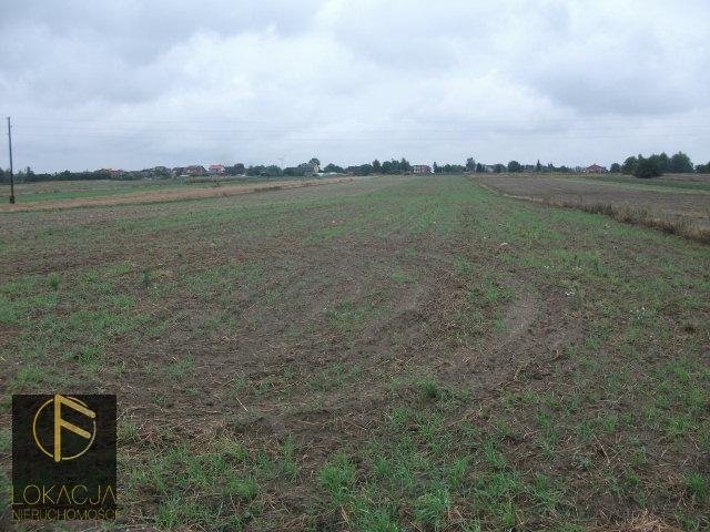 Polecam działkę usługową 3859 m² z infrastrukturą i MPZP Kalisz  3 859m2 Foto 1