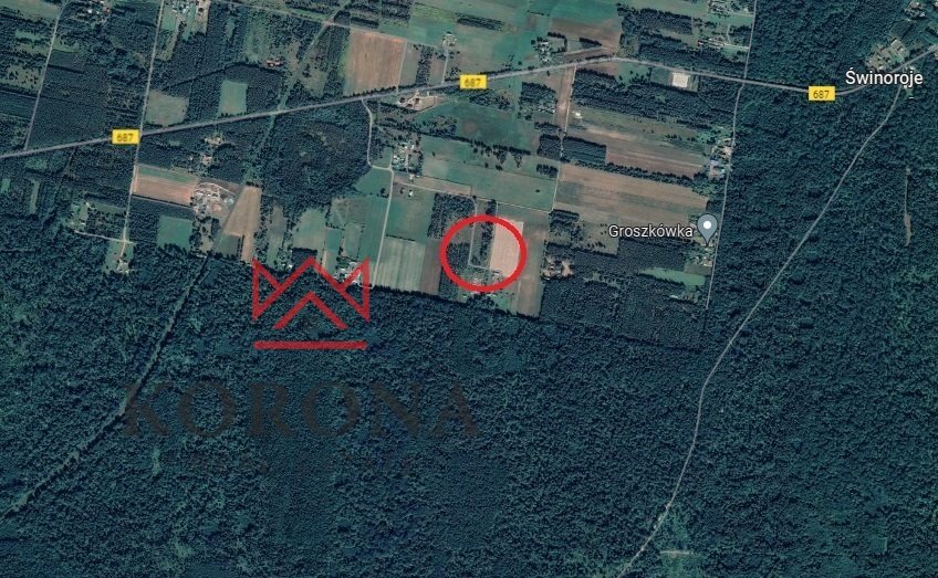 Działka 3154 m² pod dom jednorodzinny w Skupowie Skupowo  3 154m2 Foto 1