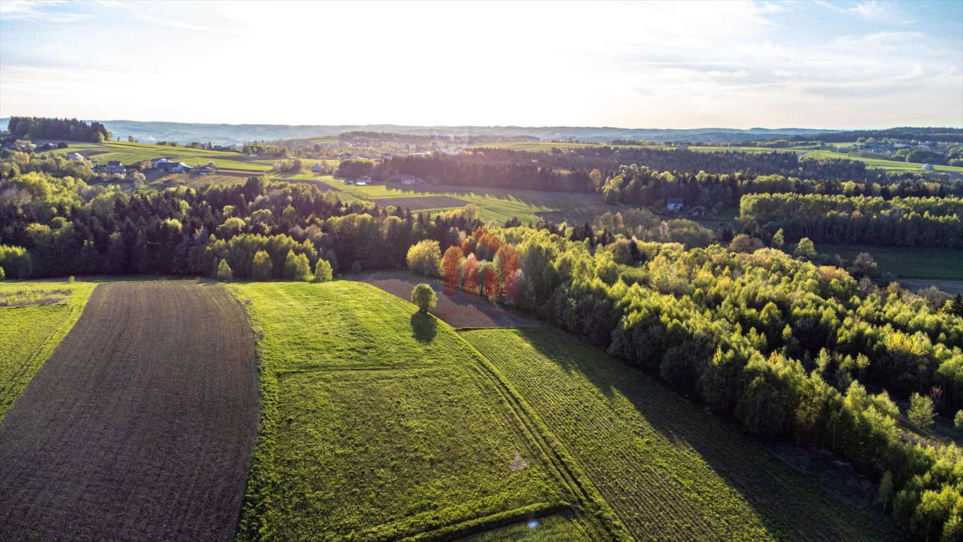 Działka rekreacyjna na sprzedaż Szkodna  4 000m2 Foto 1