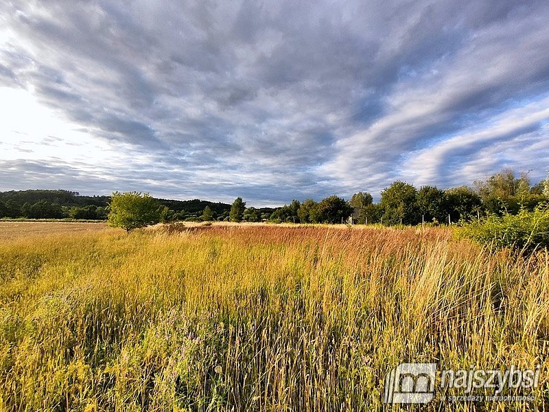 Działka rolna na sprzedaż Łupowo, Wieprzyce  2 352m2 Foto 6