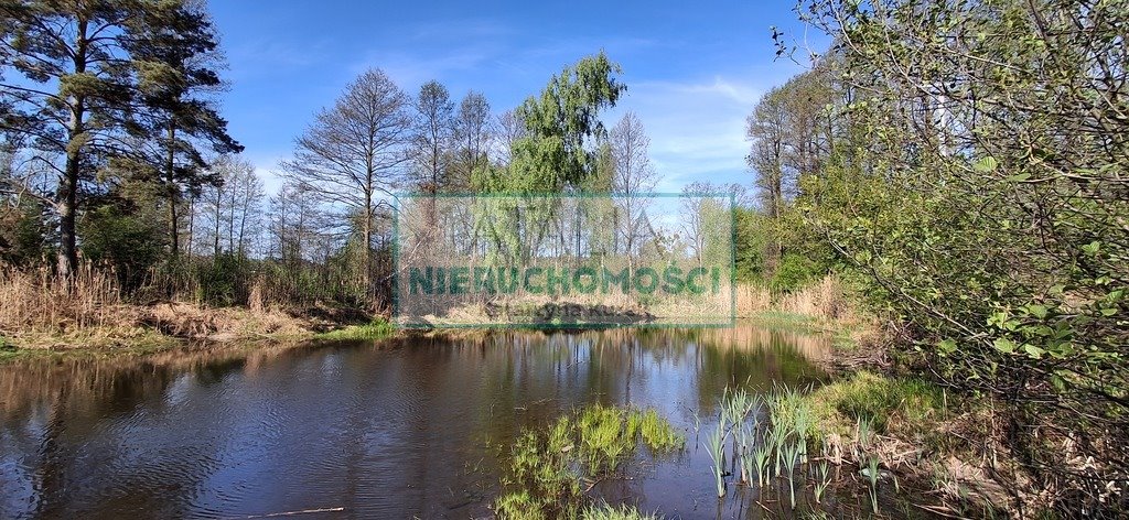 Działka 20 300 m² z lasem i stawem - polecam Janinów  20 300m2 Foto 1