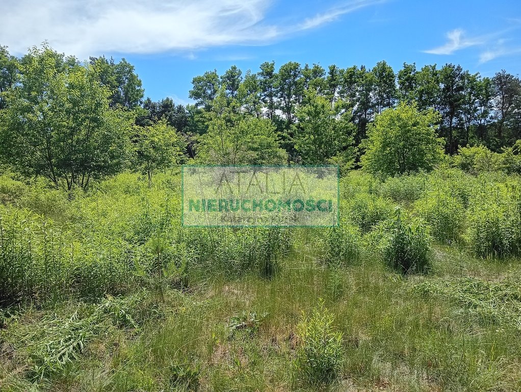 Sprzedam działkę 2506 m² z mediami i lasem w Żółwinie Żółwin  2 506m2 Foto 1