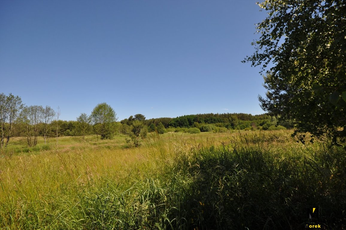 Działka inna na sprzedaż Siemyśl  18 100m2 Foto 9