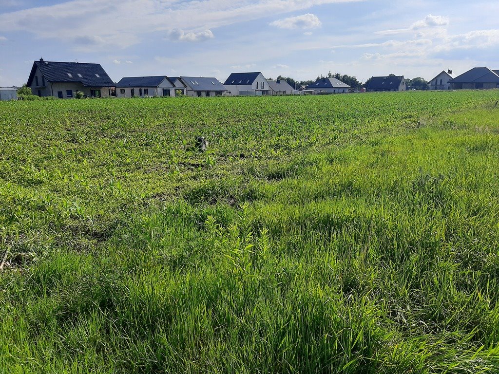 Działka budowlana na sprzedaż Smardzów  1 000m2 Foto 9