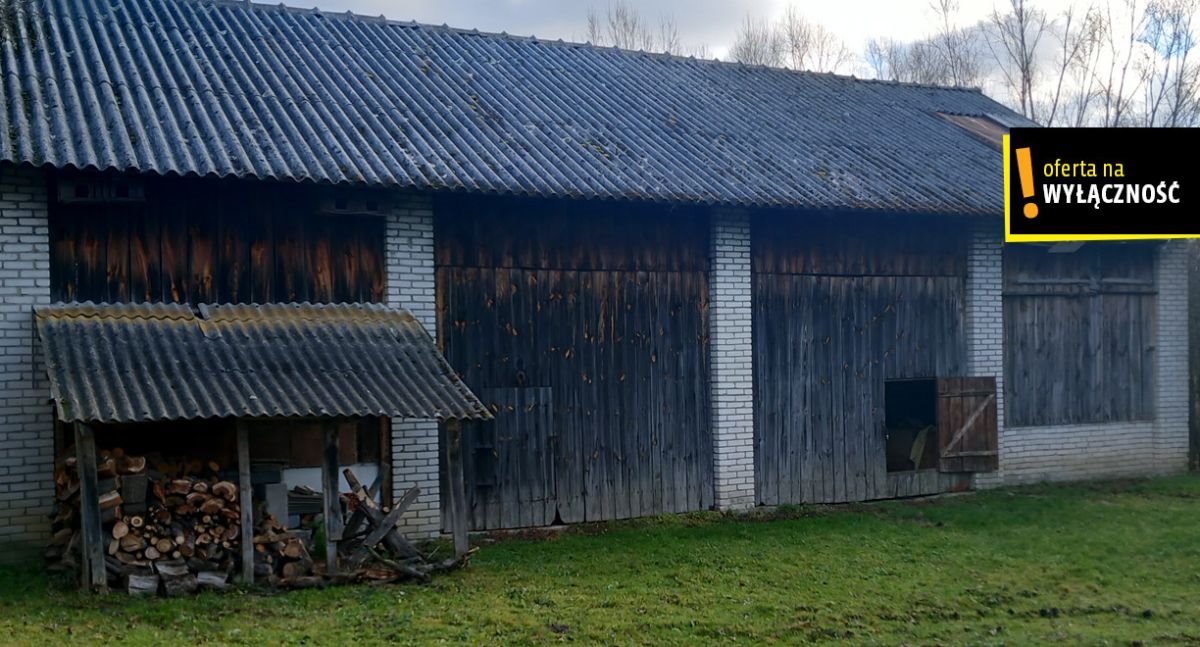 Działka przemysłowo-handlowa na sprzedaż Osiek, Grobla  32 750m2 Foto 5