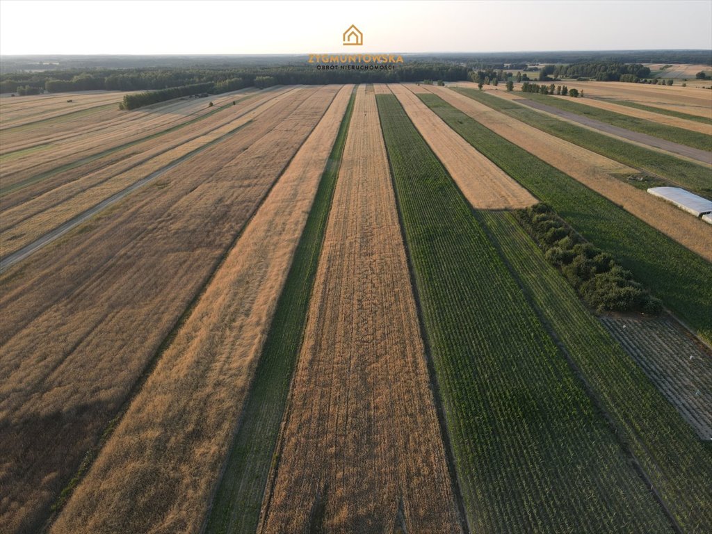 Działka inna na sprzedaż Rusinów, Wola Gałecka  29 800m2 Foto 6