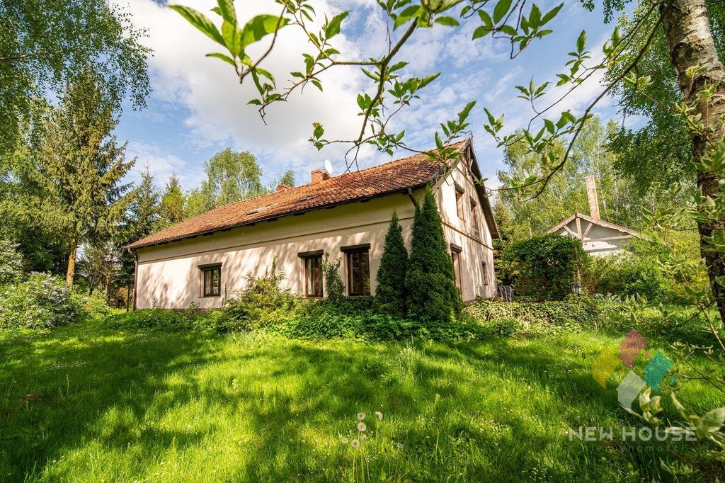 Działka siedliskowa na sprzedaż Wajsnory  190 400m2 Foto 3