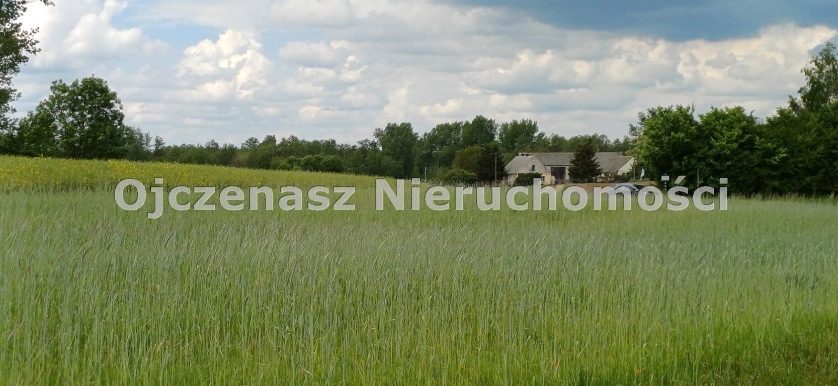 Działka rolna na sprzedaż Sitno  2 330m2 Foto 7