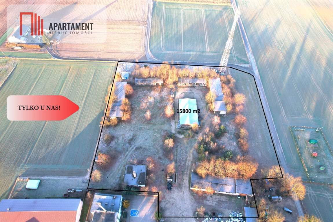 Działka inwestycyjna 15 800 m² z magazynami i biurem Lubiewo  15 800m2 Foto 1
