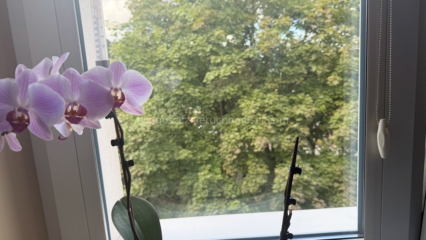 Zdjęcie 7