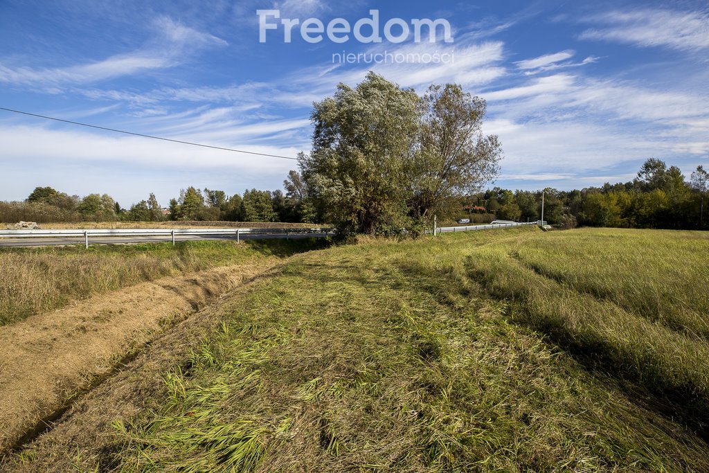 Działka inwestycyjna na sprzedaż Niechobrz  6 000m2 Foto 6