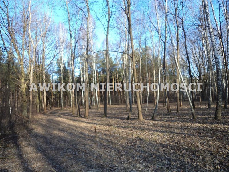 Działka 3000 m² z projektem dwulokalowym, media, las - zapraszam Milanowek, Polesie  3 000m2 Foto 1