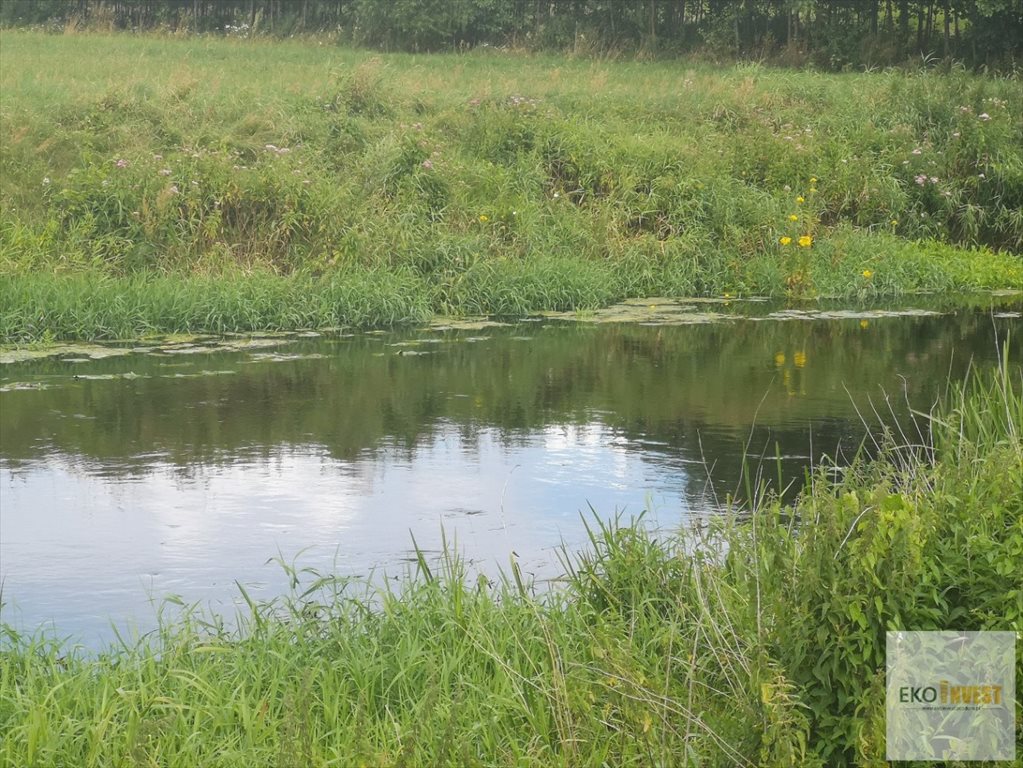 Działka rolna na sprzedaż Glinojeck, Glinojeck  11 334m2 Foto 2