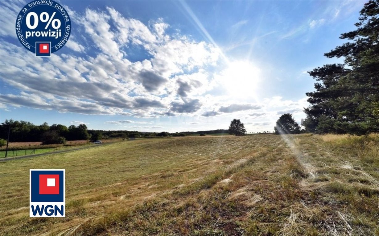 Działka budowlana na sprzedaż Zebrzydowa, centrum  1 400m2 Foto 12