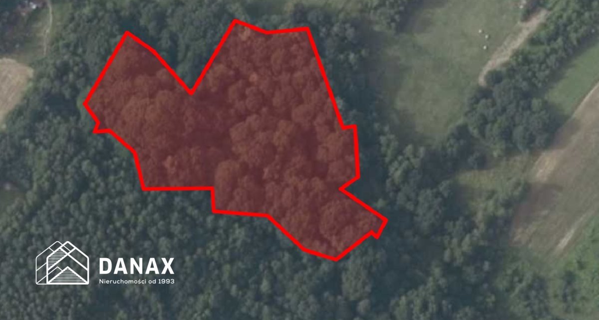 Działka leśna 10 268 m² z dostępem do energii, rekreacja Zarzyce Wielkie  10 268m2 Foto 1