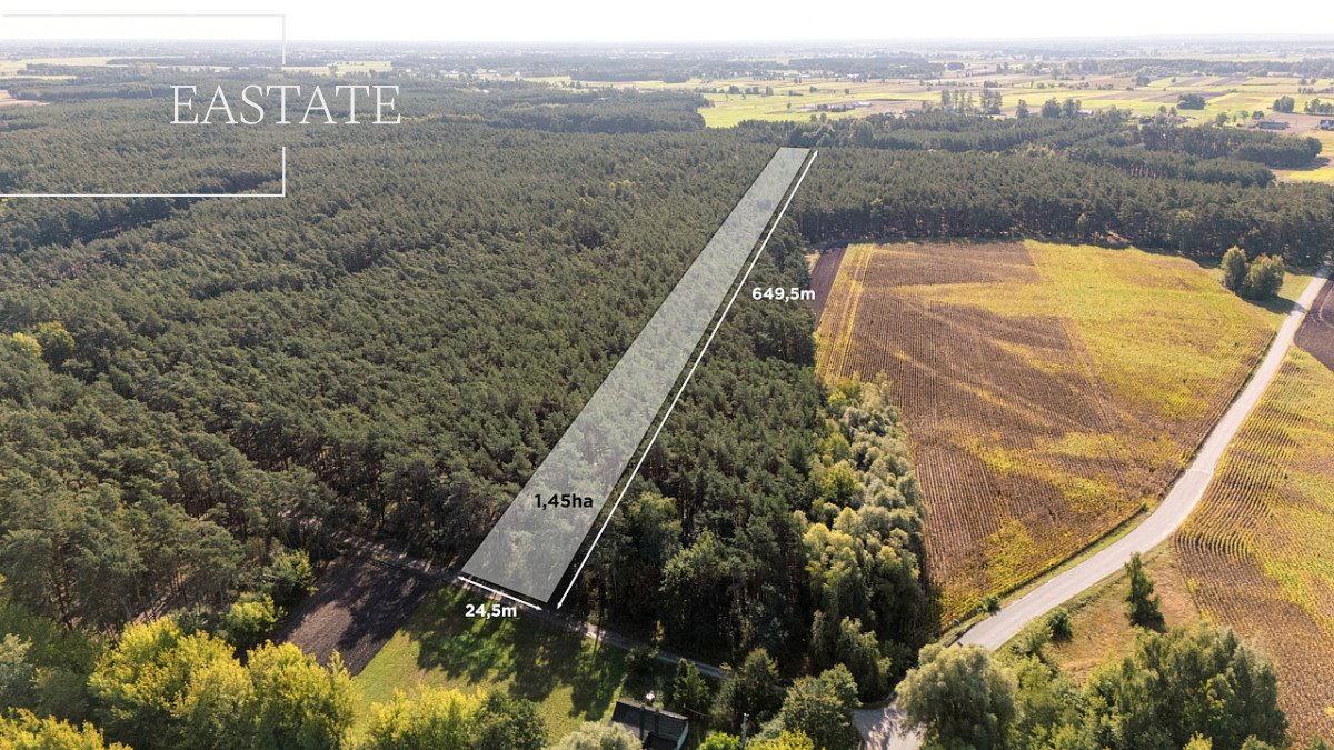 Działka leśna na sprzedaż Maurzyce  14 500m2 Foto 1