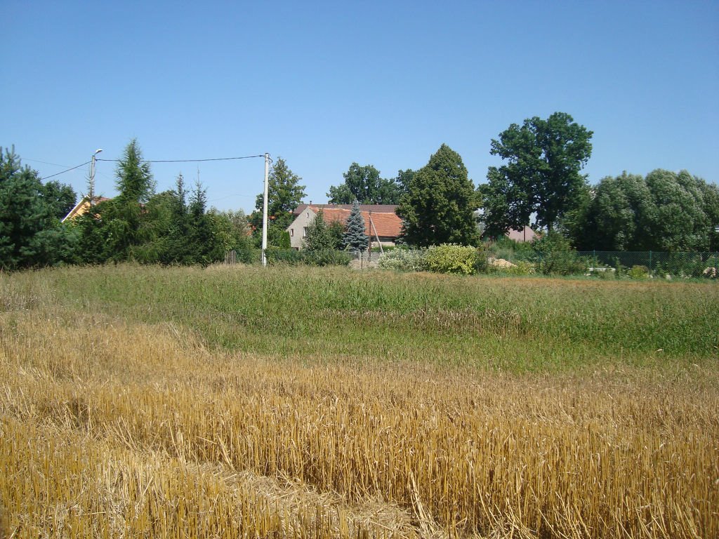 Urokliwa działka 1500 m² w Szymanowie – idealna pod budowę Szymanów  1 500m2 Foto 1