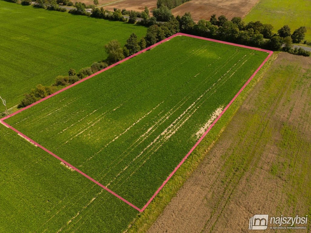 Działka rolna 32 700 m² w spokojnej okolicy, dostęp asfaltowy Będzin  32 700m2 Foto 1