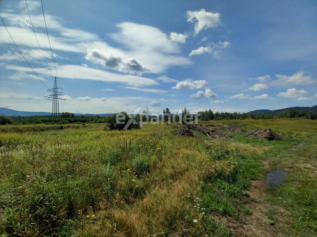 Działka budowlana na sprzedaż Wałbrzych, Biały Kamień, Piotra Wysockiego  140 309m2 Foto 8