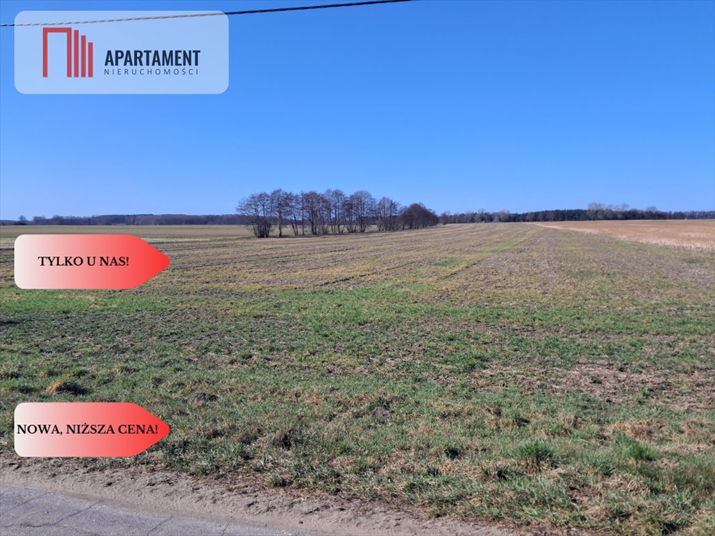 Działki pod dom i inwestycję w Wiktorówku, MPZP Wiktorówko  1 202m2 Foto 1