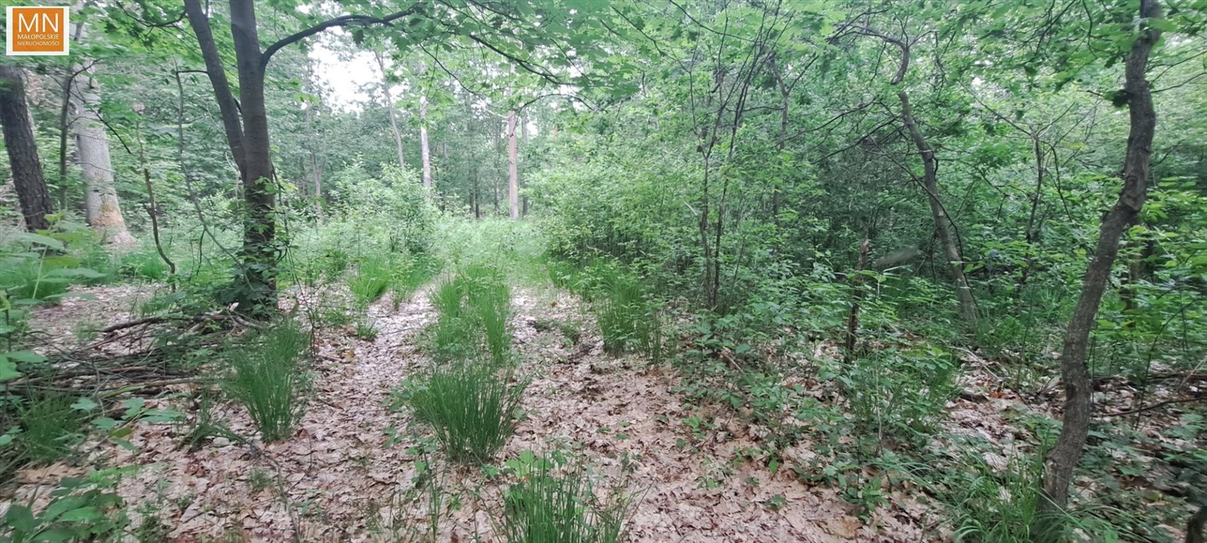 Zdjęcie 3