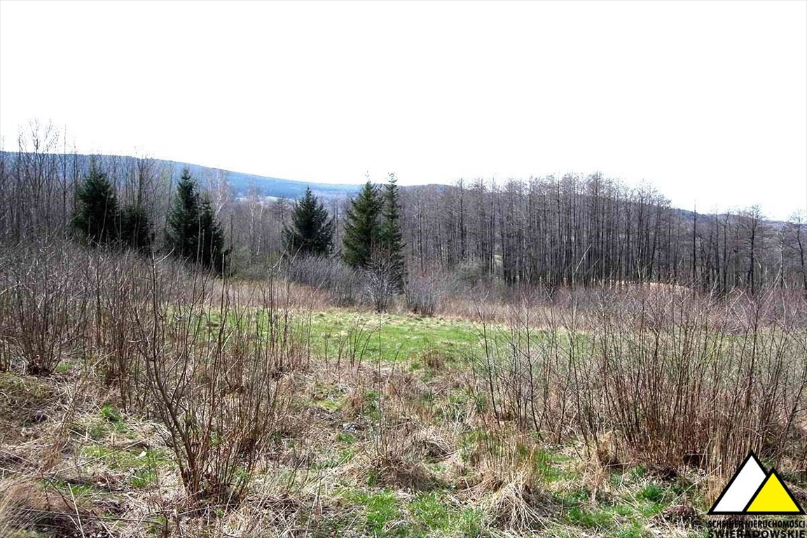 Działka budowlana na sprzedaż Przecznica  15 200m2 Foto 5