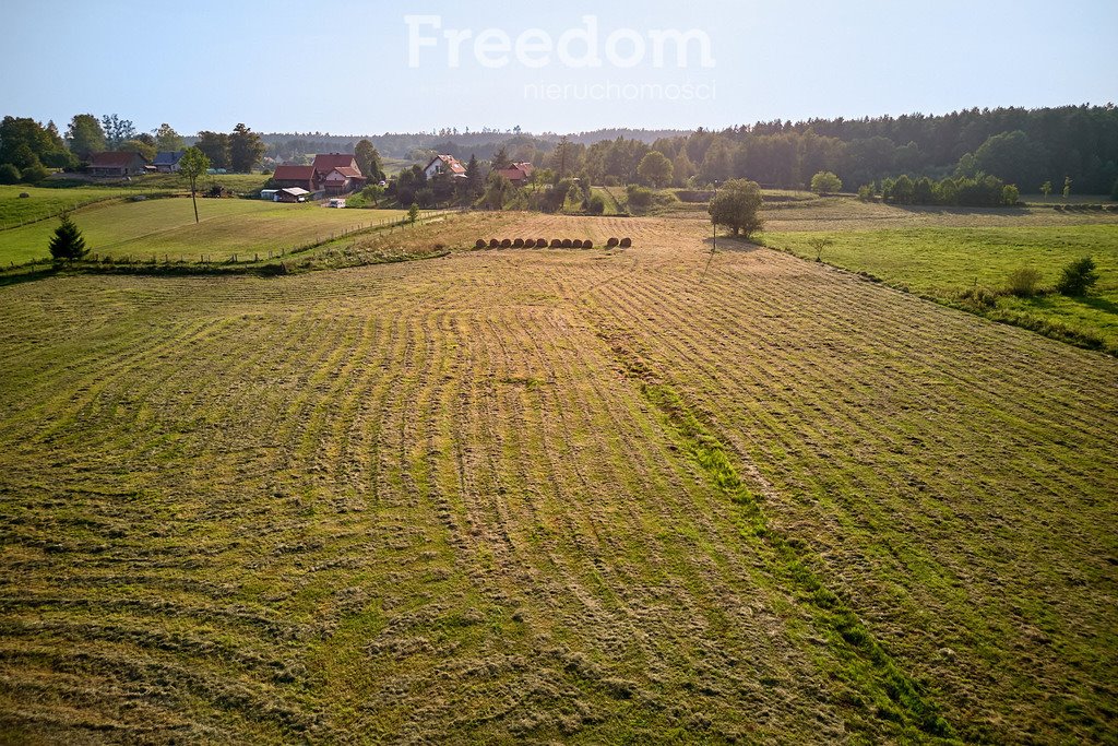 Działka budowlana na sprzedaż Lipowo  38 700m2 Foto 8