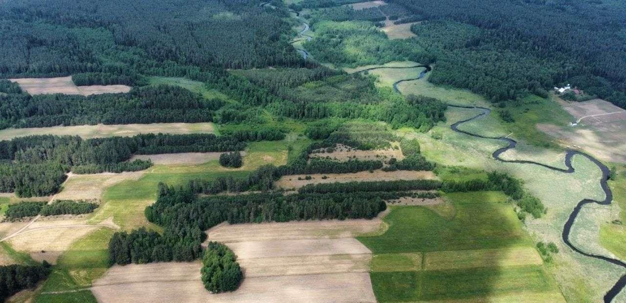 Działka rolna na sprzedaż Strzelcowizna  92 500m2 Foto 7