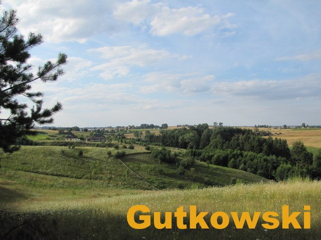 Działka rolna na sprzedaż Łąki Bratiańskie, gmina Nowe Miasto Lubawskie  3 323m2 Foto 7