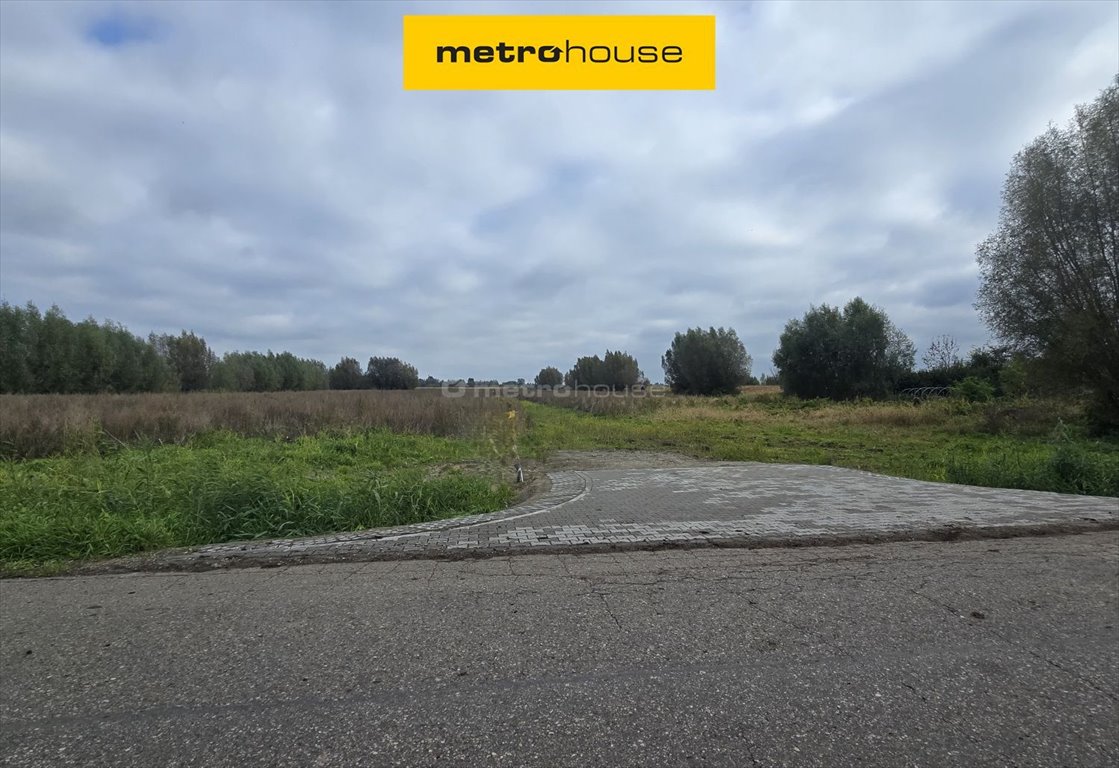 Działki Krzewsk 1138 m2 z mediami - potencjał inwestycyjny Krzewsk  1 138m2 Foto 1